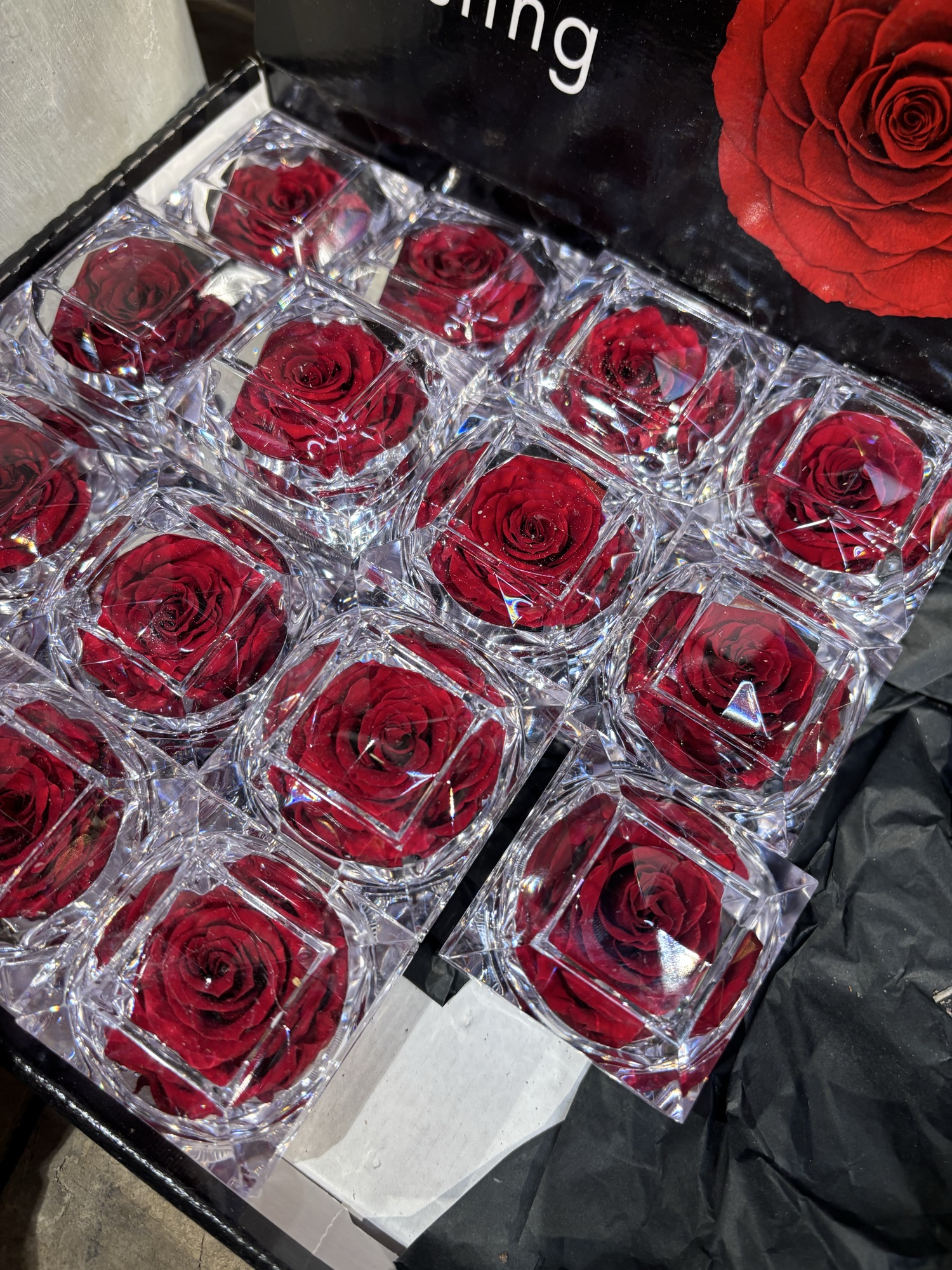 Evighedsrose